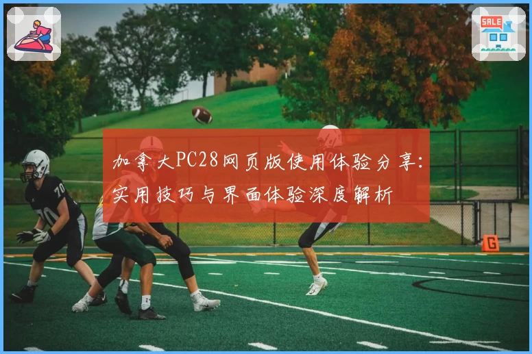 加拿大PC28网页版使用体验分享:实用技巧与界面体验深度解析