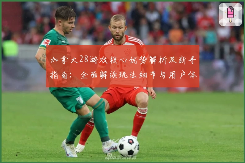 加拿大28游戏核心优势解析及新手指南：全面解读玩法细节与用户体验