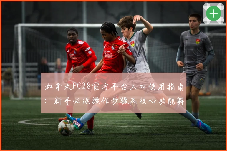 加拿大PC28官方平台入口使用指南：新手必读操作步骤及核心功能解析