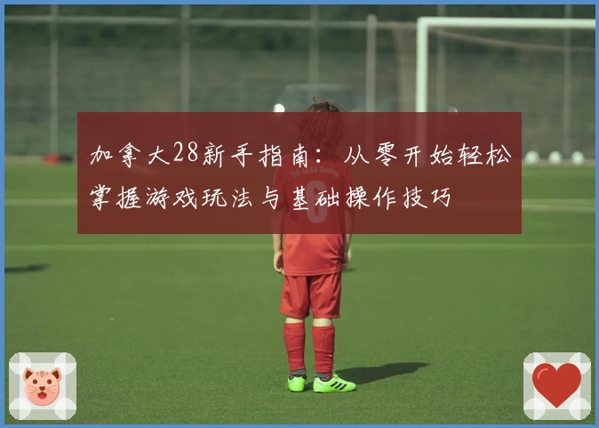 加拿大28新手指南:从零开始轻松掌握游戏玩法与基础操作技巧