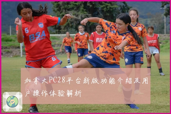 加拿大PC28平台新版功能介绍及用户操作体验解析